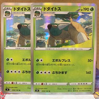 Torterra R 2pcs