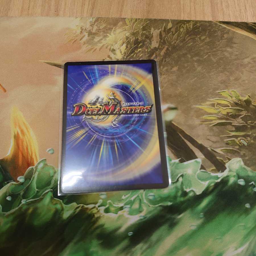 聖獣王ペガサス