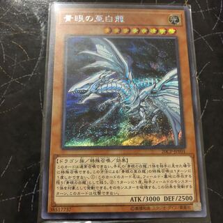 遊戯王　青眼の亜白龍　シークレット