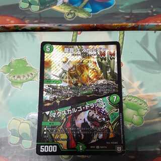 最安値  龍罠 エスカルデン｜マクスカルゴ・トラップ SR