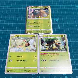 [Dedicated to Mokoro] 3 sets of TorterraR evolution set