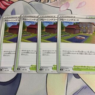 Training Court 2 mirrors 2 regular