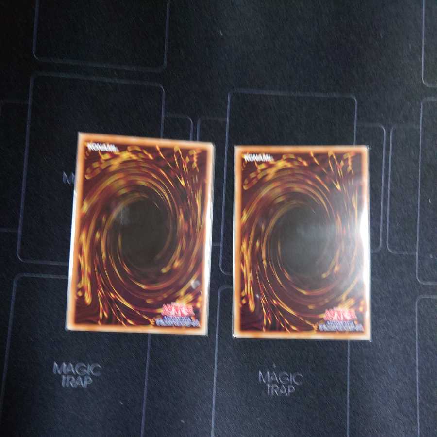 Dynorphia Rexxam Super Rare