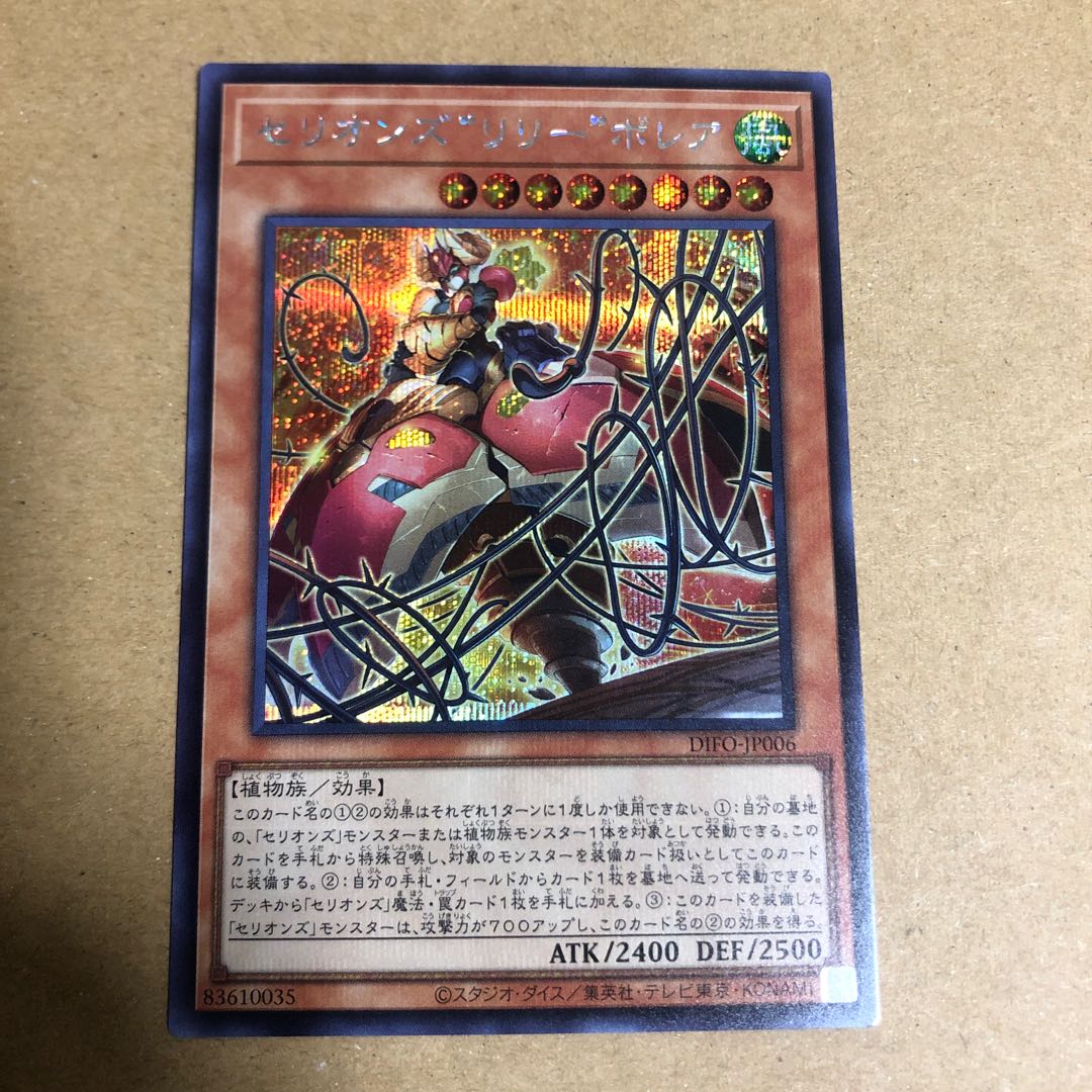 Cellions "Lily" Bollea Secret