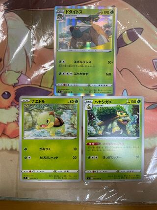 Torterra R evolution line x 2