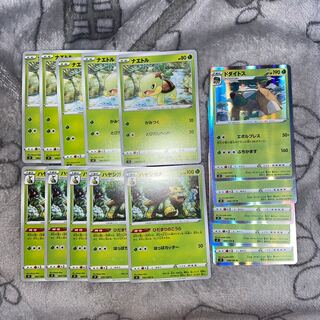 ポケカ ナエトル ハヤシガメ ドダイトス 進化ライン