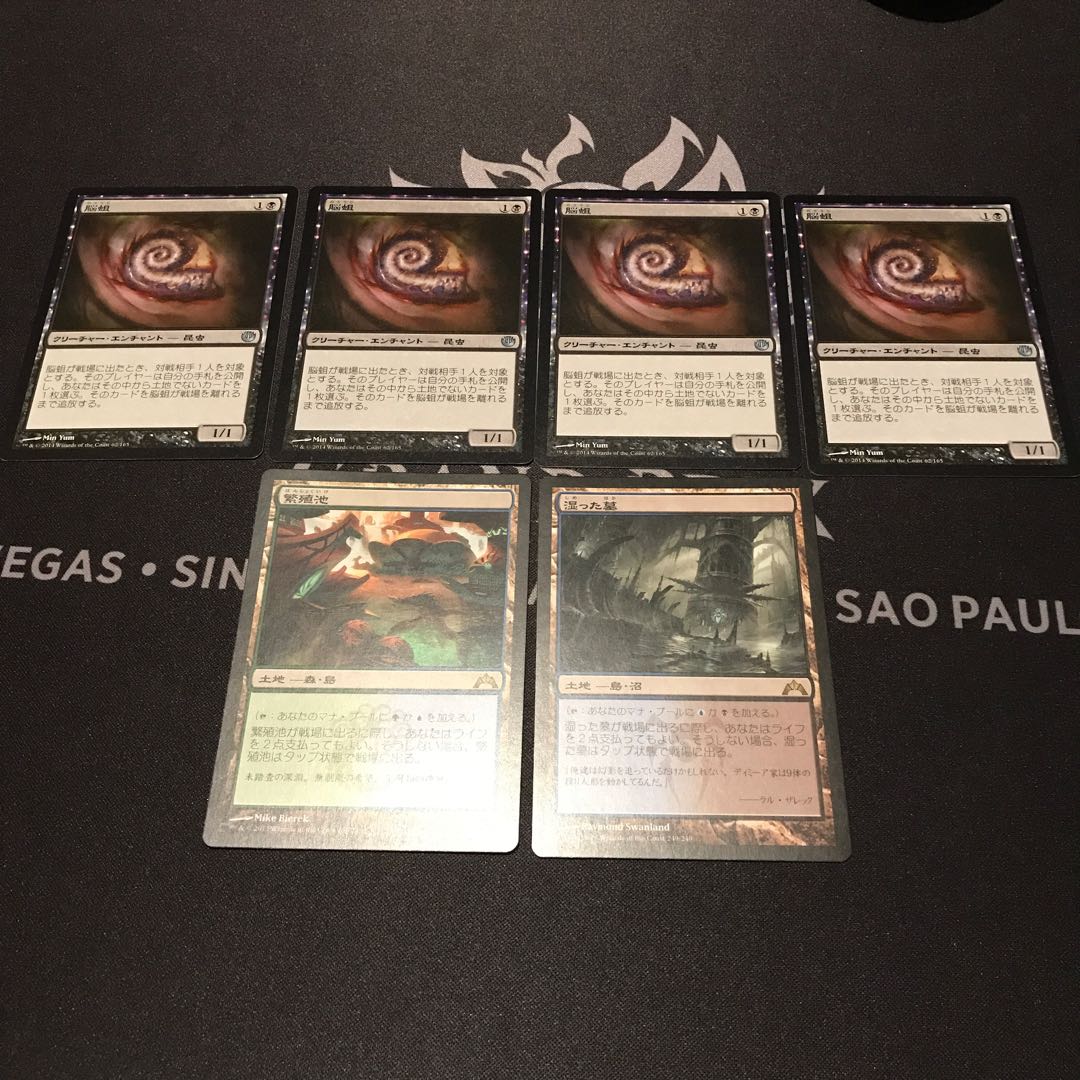 専用出品　脳蛆4枚 繁殖池1枚　湿った墓1枚