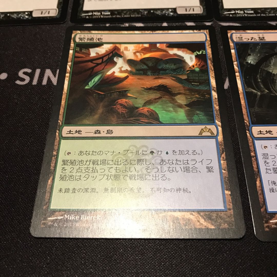 専用出品　脳蛆4枚 繁殖池1枚　湿った墓1枚