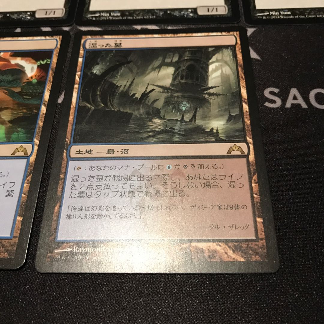 専用出品　脳蛆4枚 繁殖池1枚　湿った墓1枚