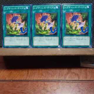 【ぽぽたん】遊戯王　11411　 レプティレス・ポイズン　3枚セット　ノーマル