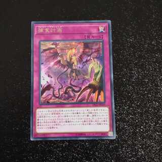 Predaplanning [Korindo].