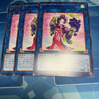 森羅の舞踏娘 ピオネ レア