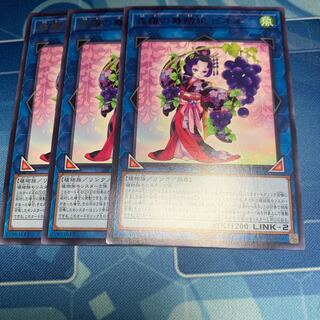 森羅の舞踏娘 ピオネ レア