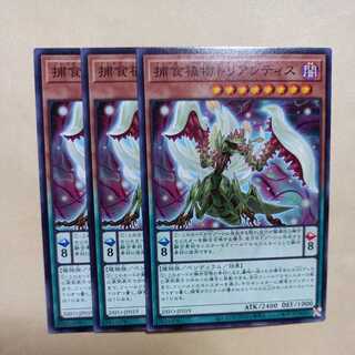 捕食植物トリアンティス ノーマル