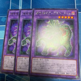 捕食植物アンブロメリドゥス レア