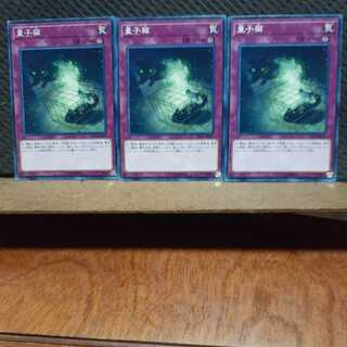 【ぽぽたん】遊戯王　11433　 量子猫　3枚セット　ノーマル