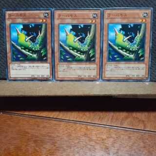 [Popotan] Yu-Gi-Oh! 11442 Larvae Moth, set of 3, normal