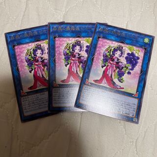 森羅の舞踏娘 ピオネ レア 3枚