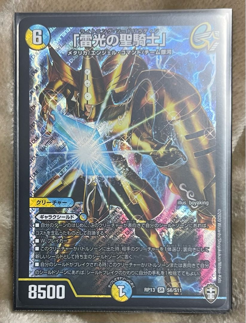 "Holy knight of lightning."