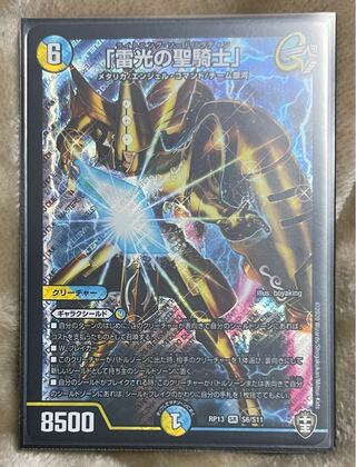 "Holy knight of lightning."