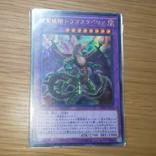 Predaplant Dragostapelia Ultra Rare