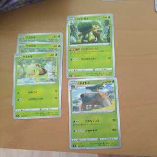 ドダイトス U　ハヤシガメ　ナエトル