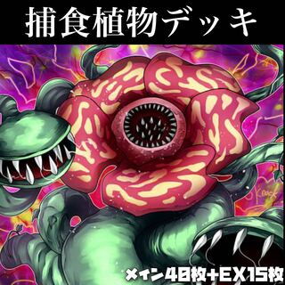 Yu-Gi-Oh [Authentic Construction] Prey Upon Plant Deck 40 cards + 15 EX cards