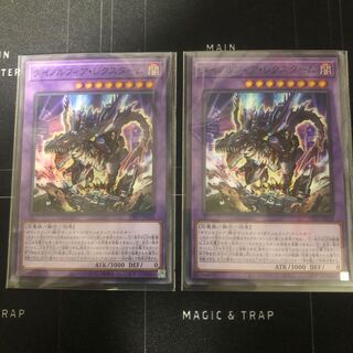 Dynorphia Rexxam Super Rare