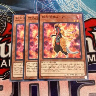 転生炎獣ミーア ノーマル　3枚