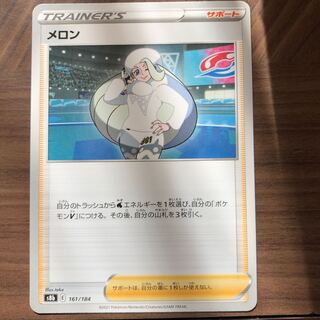 melon (esp. a muskmelon, Cucumis melo)