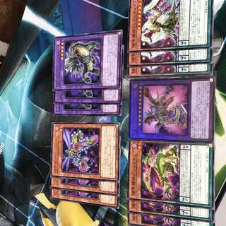 捕食デッキパーツ　ディメンションフォース