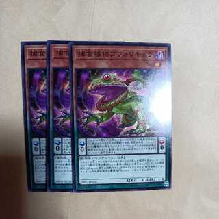 Prey Upon Plant Buphoricure Normal