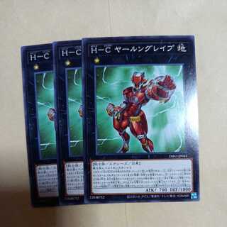 Ｈ-Ｃ ヤールングレイプ ノーマル