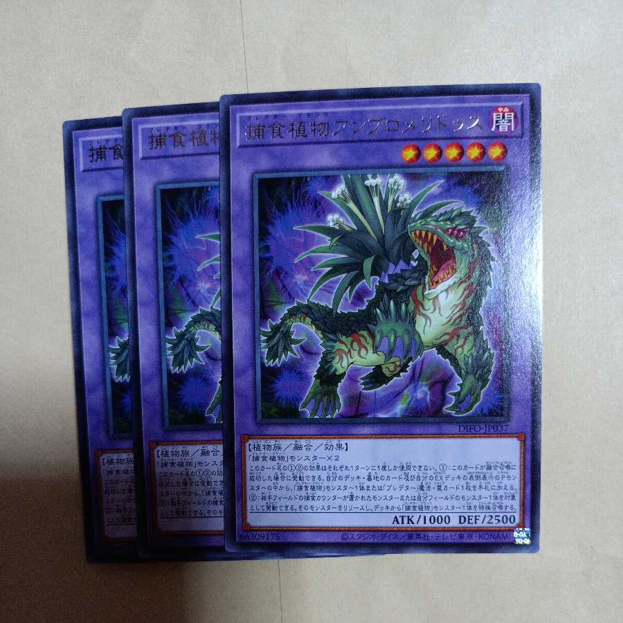 Prey Upon plant ambromeridus rare