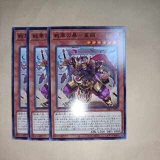 戦華の暴-董穎 ノーマル