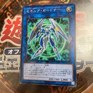Yu-Gi-Oh *Secure Gardna*.