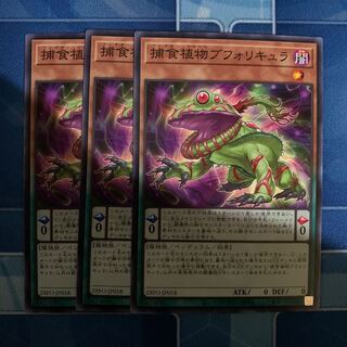 Prey Upon Plant Buphoricure Normal