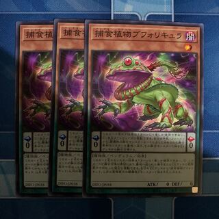 Prey Upon Plant Buphoricure Normal