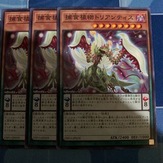 捕食植物トリアンティス ノーマル