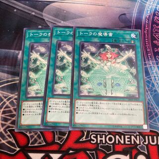トーラの魔導書 ノーマル　３枚