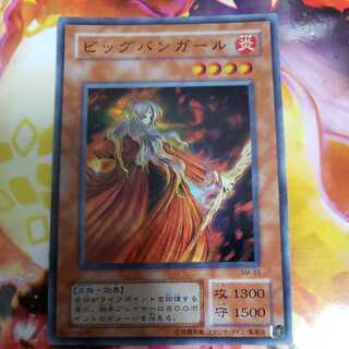 ビッグバンガール スーパーレア 1枚の通販 ナヤモン（710579623） | magi