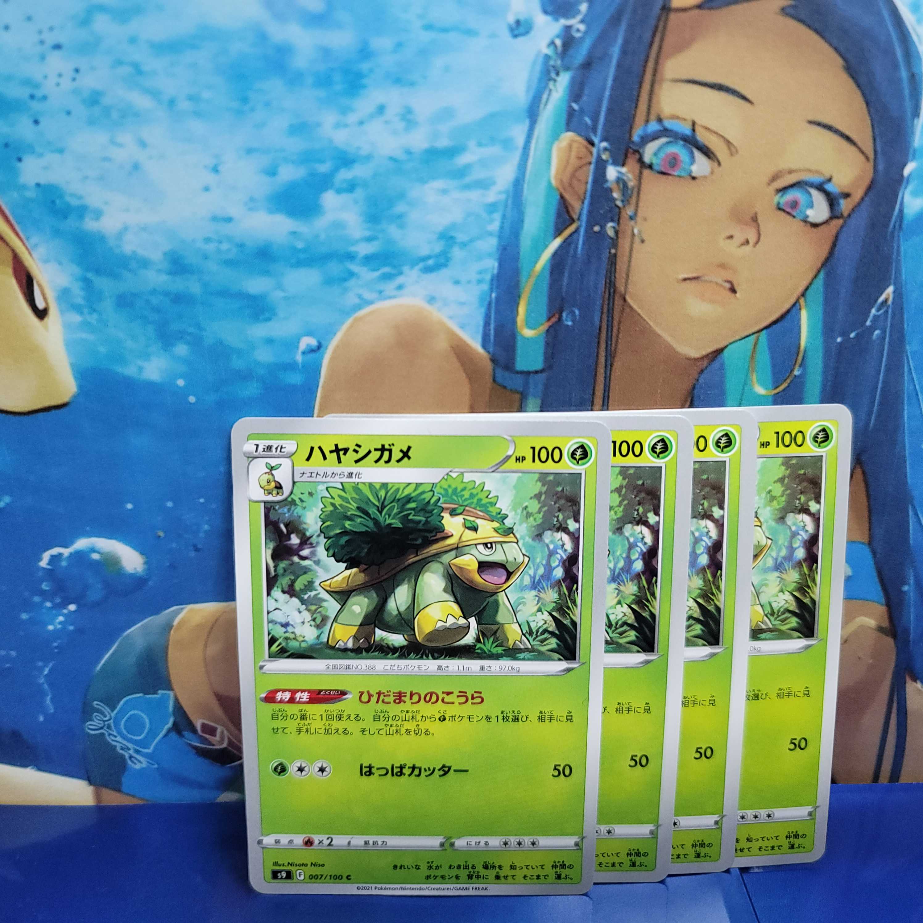 [With Parts] Torterra Evolution Line