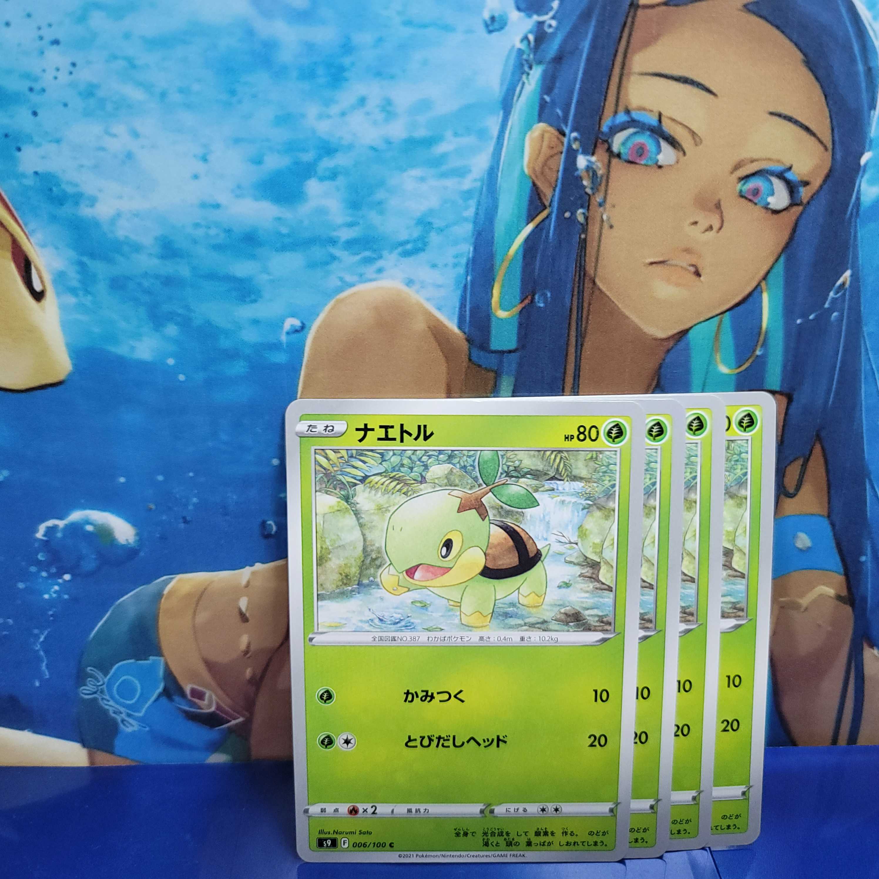 [With Parts] Torterra Evolution Line