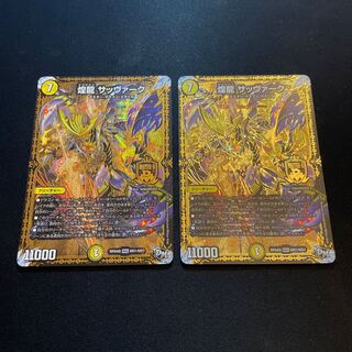 煌龍 サッヴァーク