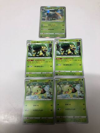 Torterra Evolution Set