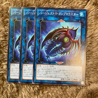 Madrace 1976 Paleozoic Cambroraster Normal