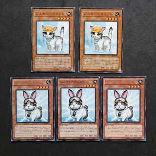 Yu-Gi-Oh Rescue Cat Rescue Rabbit