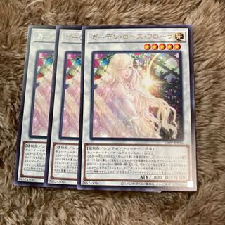 Madlace 2000Garden Rose Flora Rare