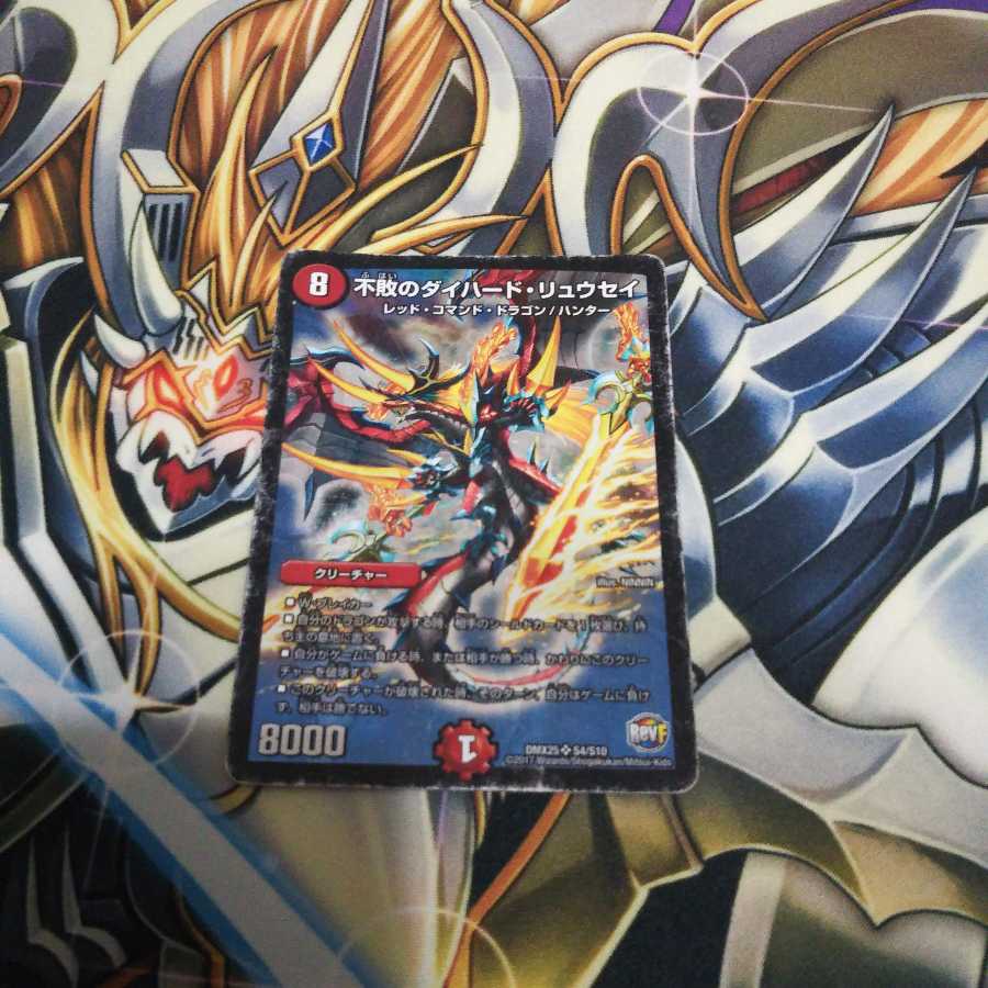 傷あり特価 不敗のダイハード・リュウセイ
