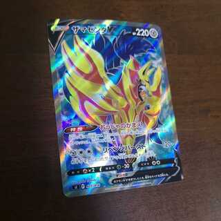 ZamazentaV(SR specification) S-TD